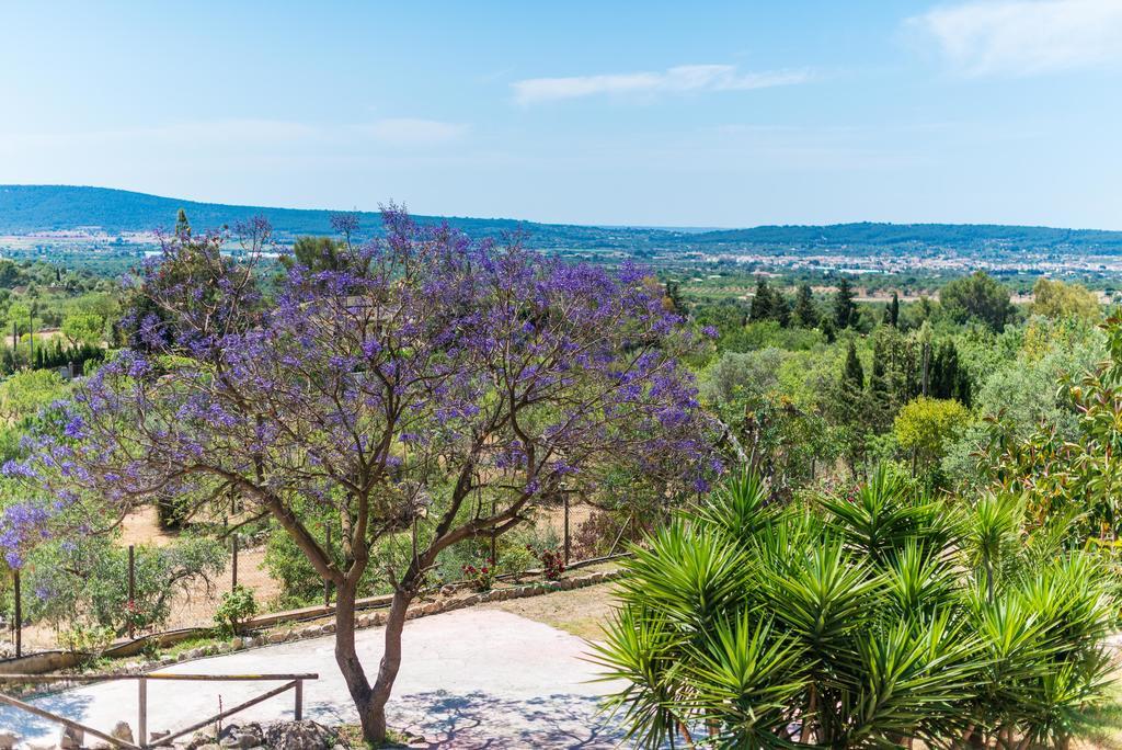 Es Pinar Villa Alaró Buitenkant foto